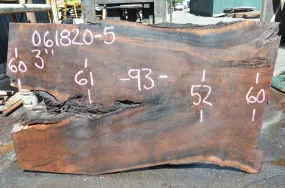 Oregon Black Walnut 061820-04