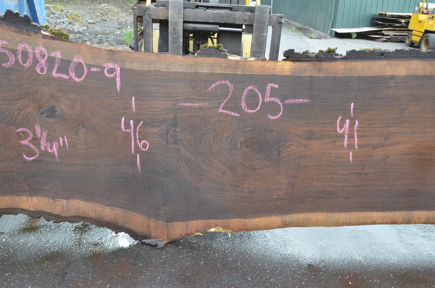 Oregon Black Walnut Slab 050820-09