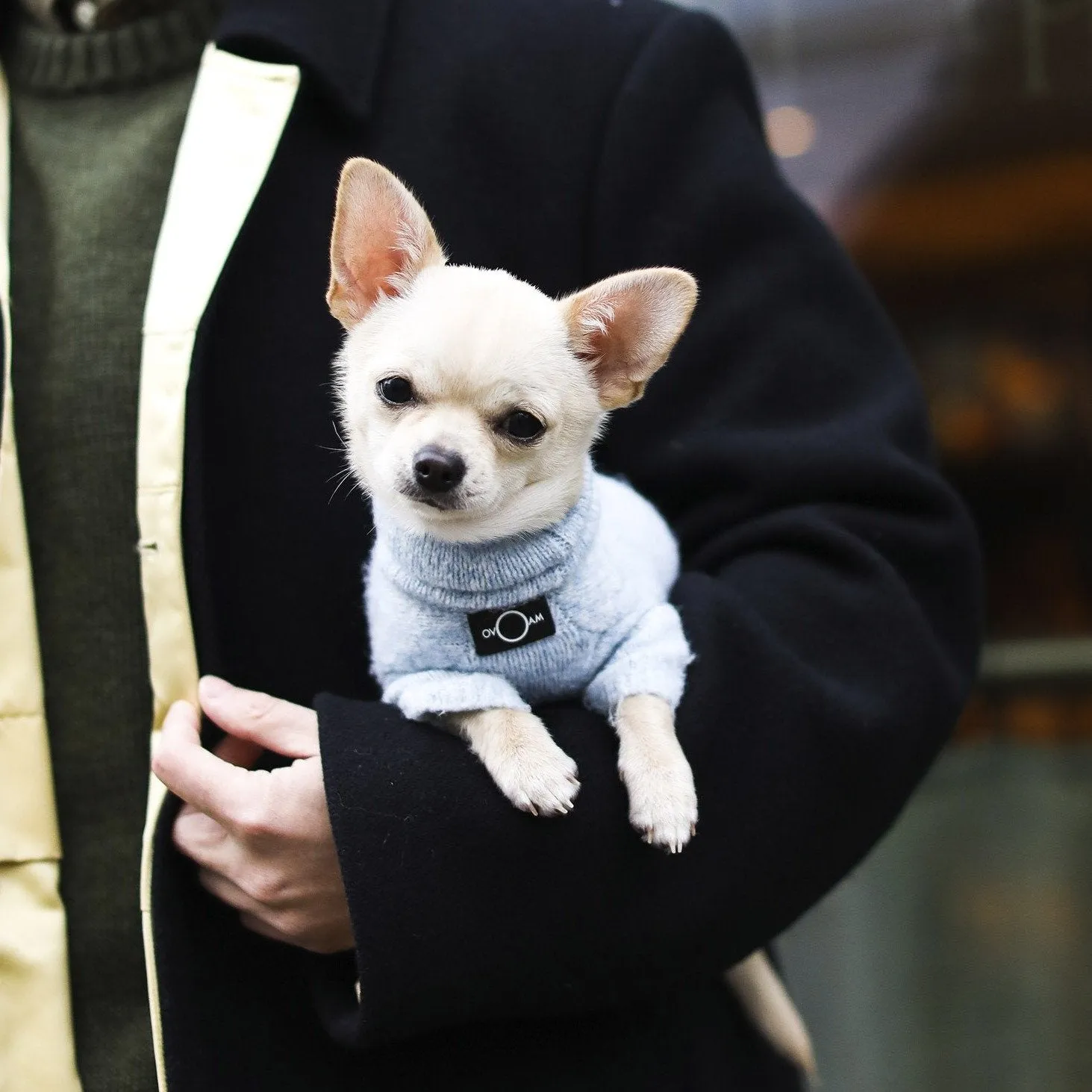 Turtle Neck Sweater