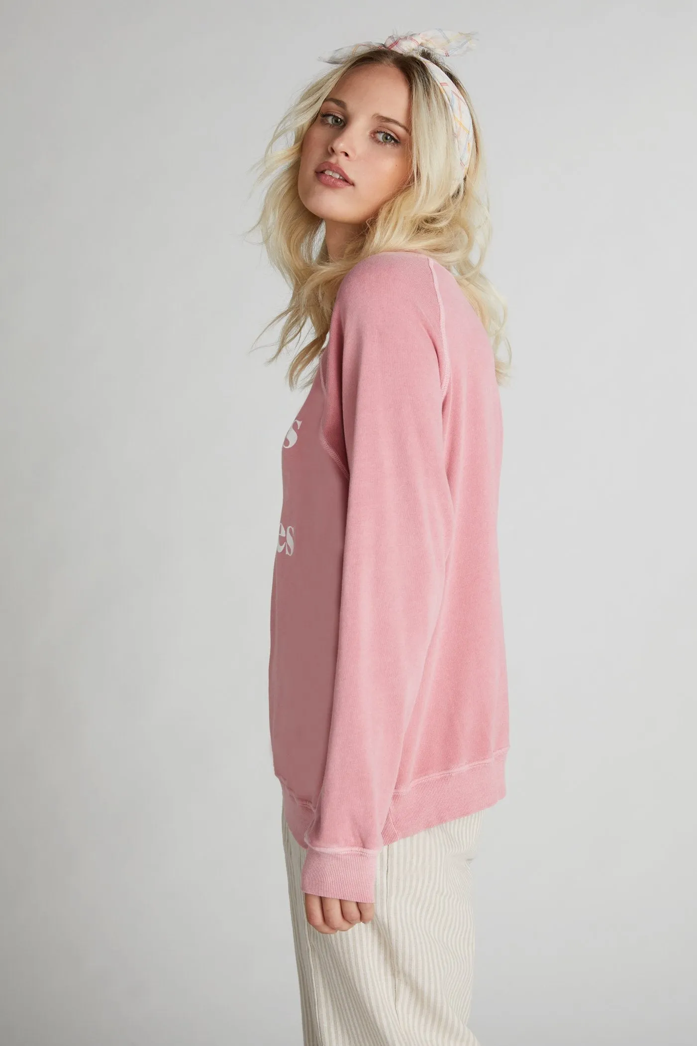 WILDFOX Puppies and Pastries Sommers Sweatshirt